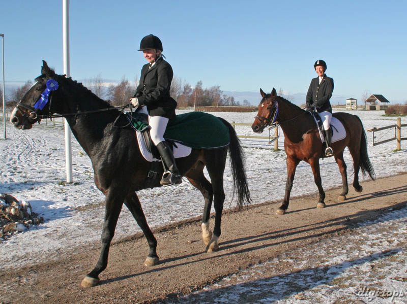 b_20081123_114044_0019