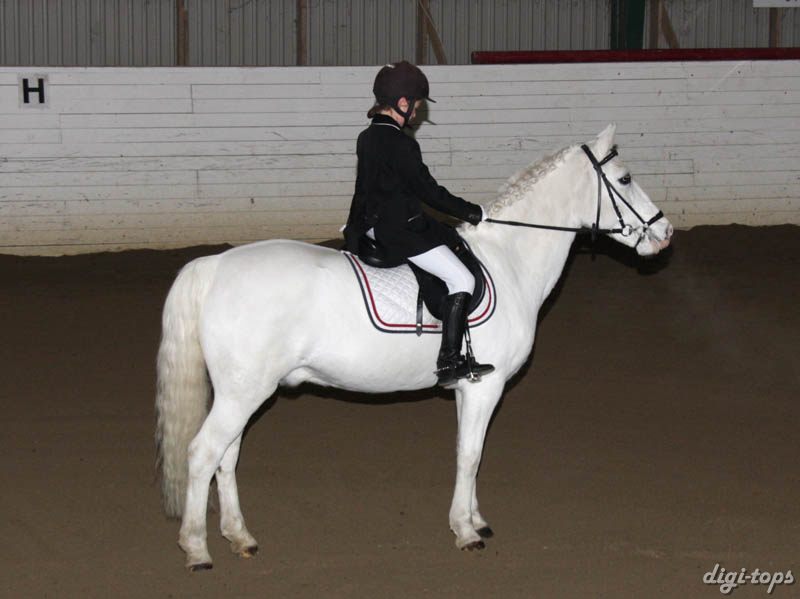 20081123_101636_0017 Linnea Friman Honey Boy