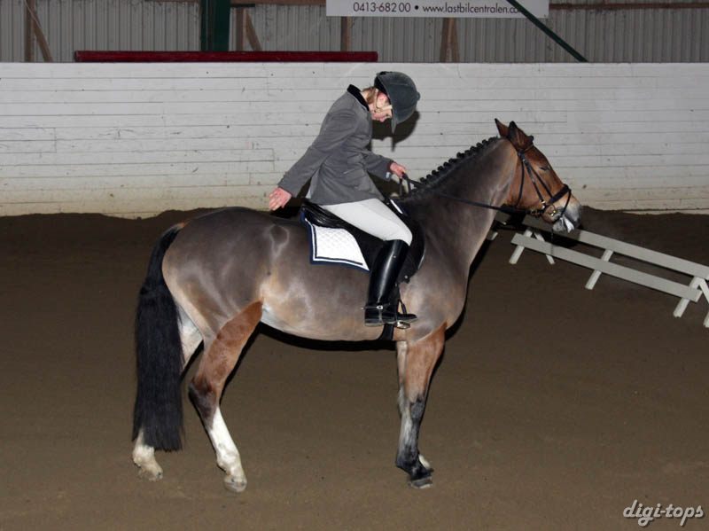 20081123_103010_0036 Sofia Hansson Djessie