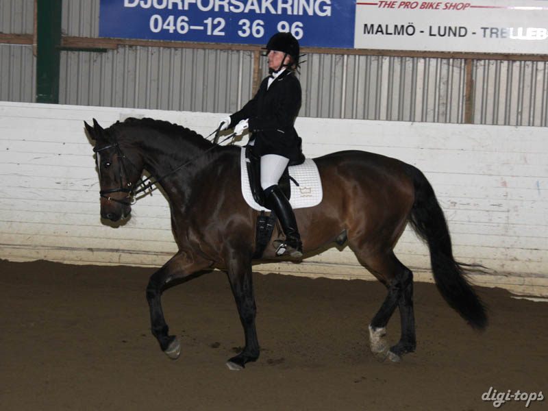 20081123_125046_0159 Christina Remmer Parco DV 996