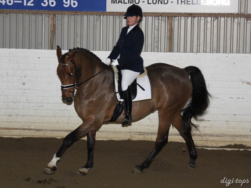 20081123_131720_0179 Ulrika Andersson Ruskin