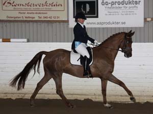 20081123_124444_0152 Ulrika Andersson Wonderboy