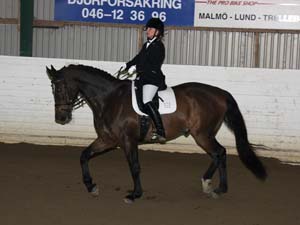 20081123_125046_0159 Christina Remmer Parco DV 996