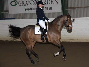 20081123_131748_0180 Ulrika Andersson Ruskin