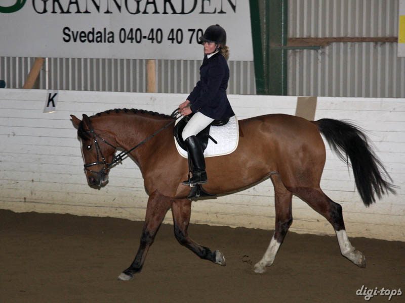 20081123_110726_0077 Petra Missler Camara