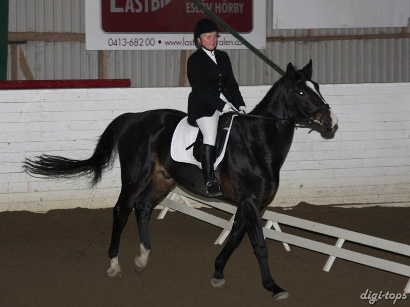 20081123_111542_0088 Maria Ocklin Niven V