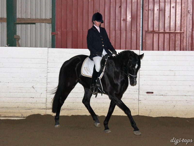 20081123_112056_0094 Emelia Andersson Livia