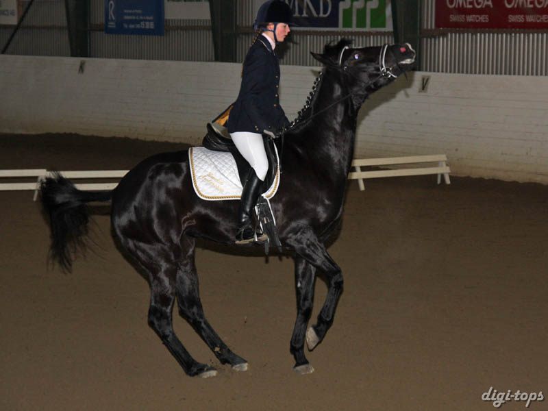 20081123_112402_0098 Emelia Andersson Livia