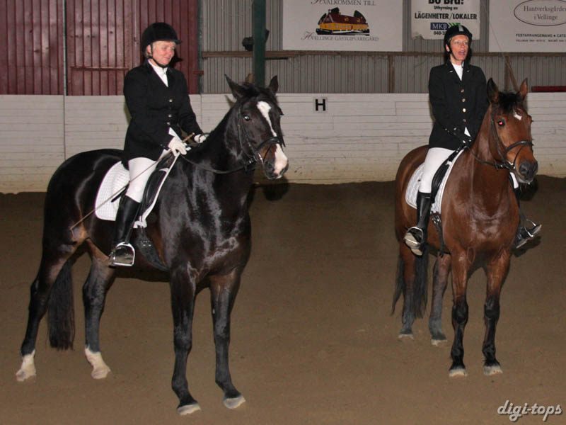 20081123_113640_0107