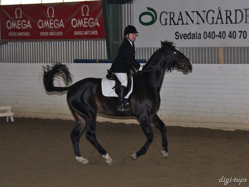 20081123_113748_0111