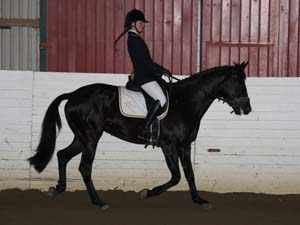 20081123_112110_0095 Emelia Andersson Livia