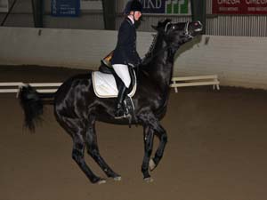 20081123_112402_0098 Emelia Andersson Livia