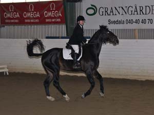 20081123_113748_0111