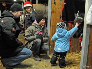 20081214_154834_0023