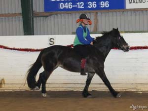 20081214_165432_0142