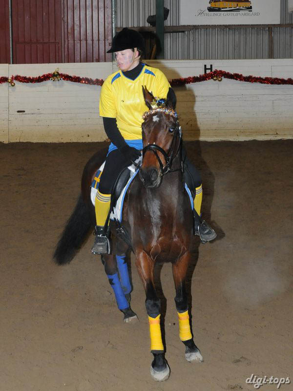 20081214_170808_0161