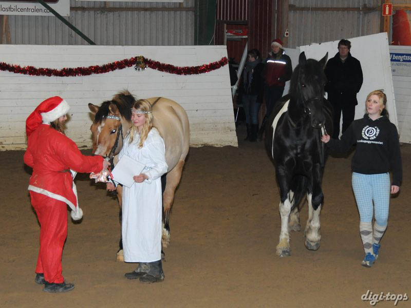 20081214_173348_0184