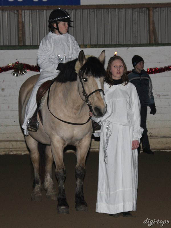 20081214_175120_0129