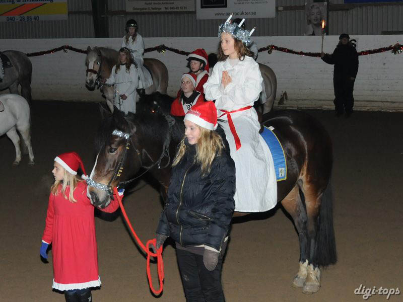 20081214_175248_0224