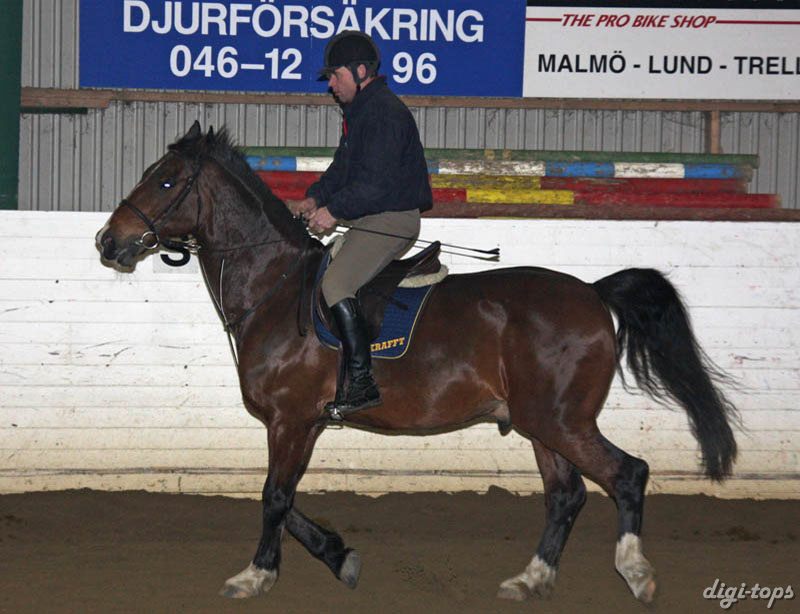 20090113_191904_0047