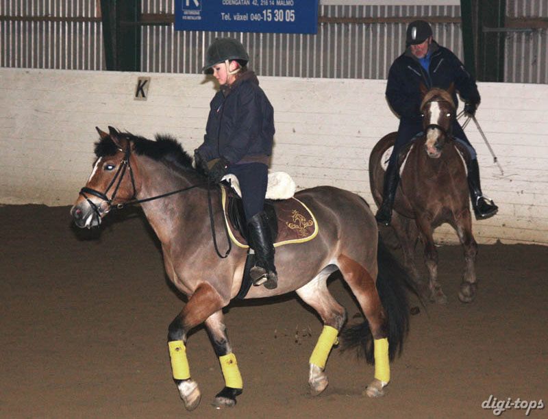 20090113_192220_0054