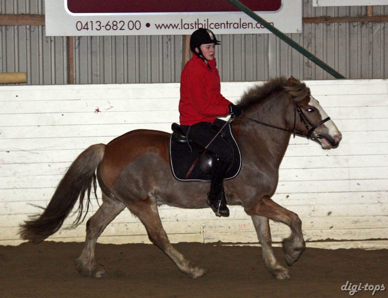 20090113_192326_0057