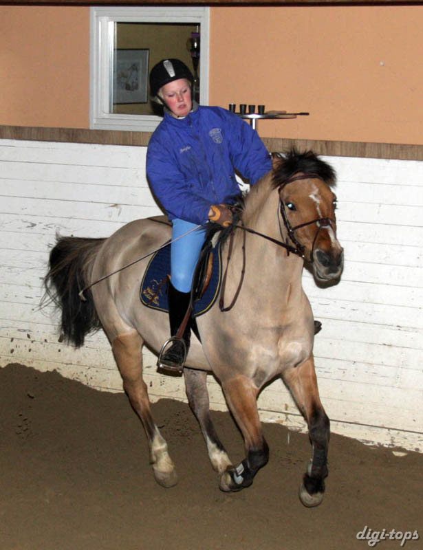 20090113_192352_0061