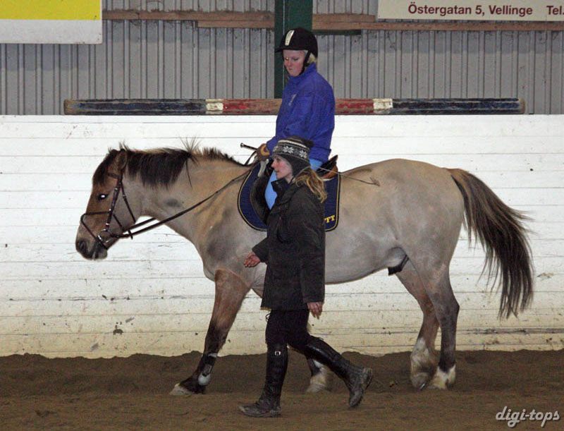 20090113_195708_0067