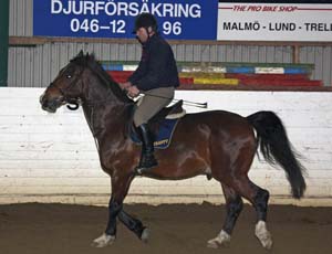 20090113_191904_0047