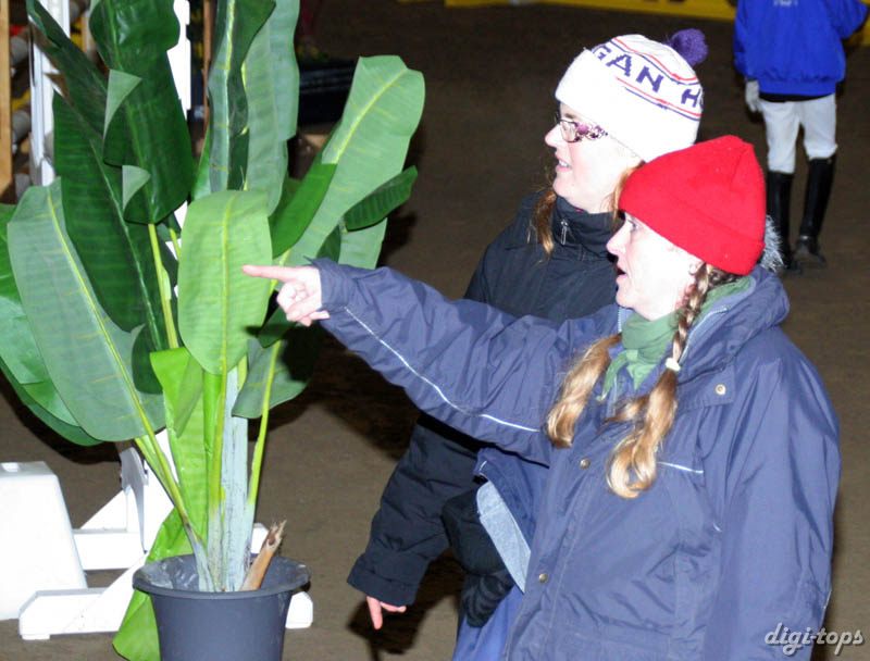 20090308_121046_0009