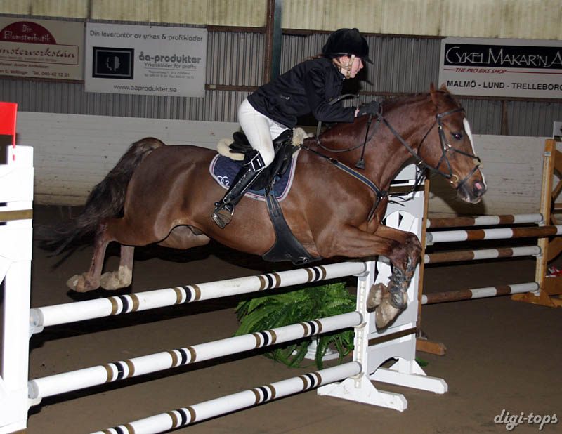 20090308_145504_0259 ellinor persson rocky boy