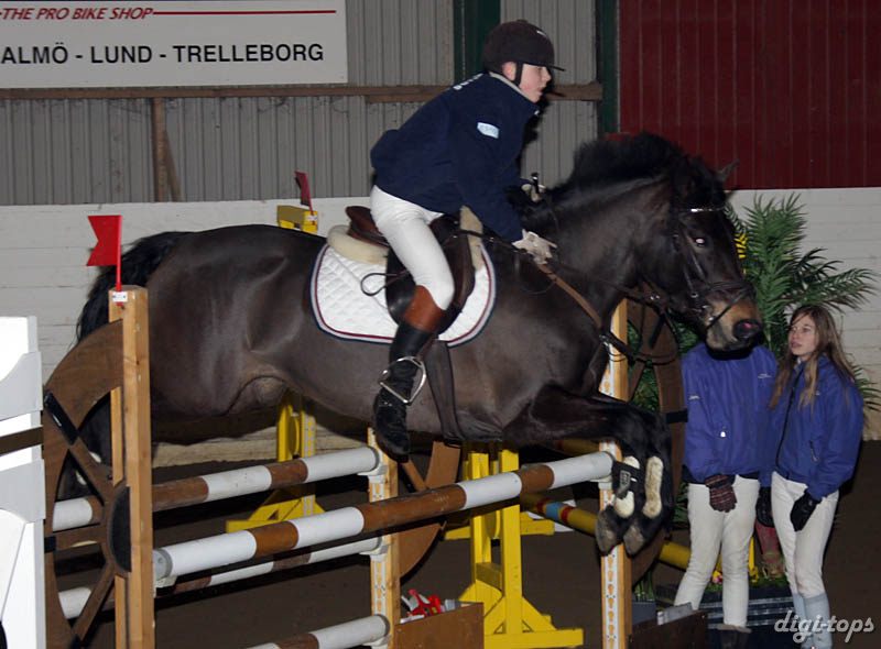 20090308_135340_0167 robin kjell idyllens kaki