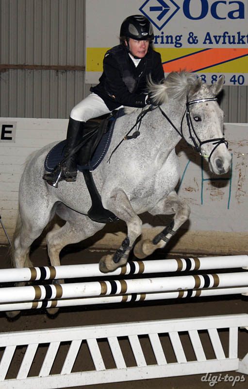 20090308_133404_0125 caroline thuresson silver thread