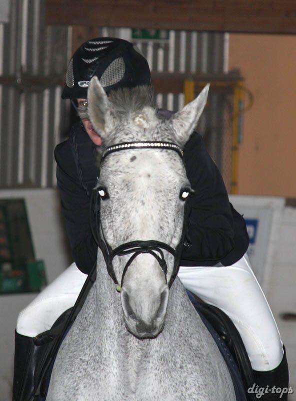 20090308_133414_0126 caroline thuresson silver thread