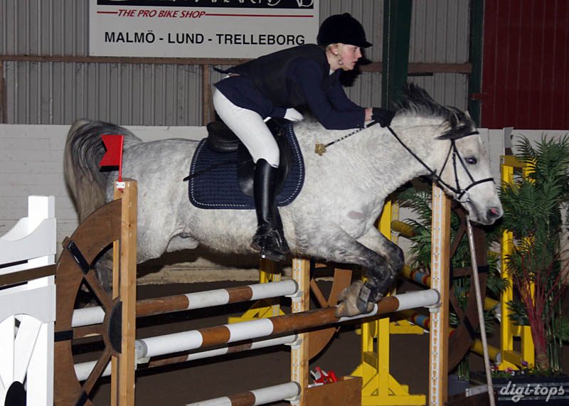 20090308_141738_0216 caroline gustafsson koriander