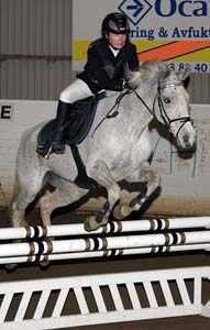 20090308_133404_0125 caroline thuresson silver thread