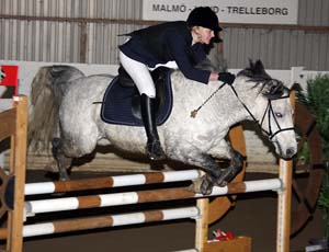 20090308_150612_0275 caroline gustafsson koriander