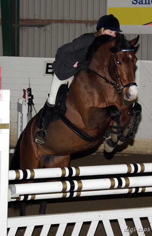 20090308_140324_0188 elina malmberg i wish