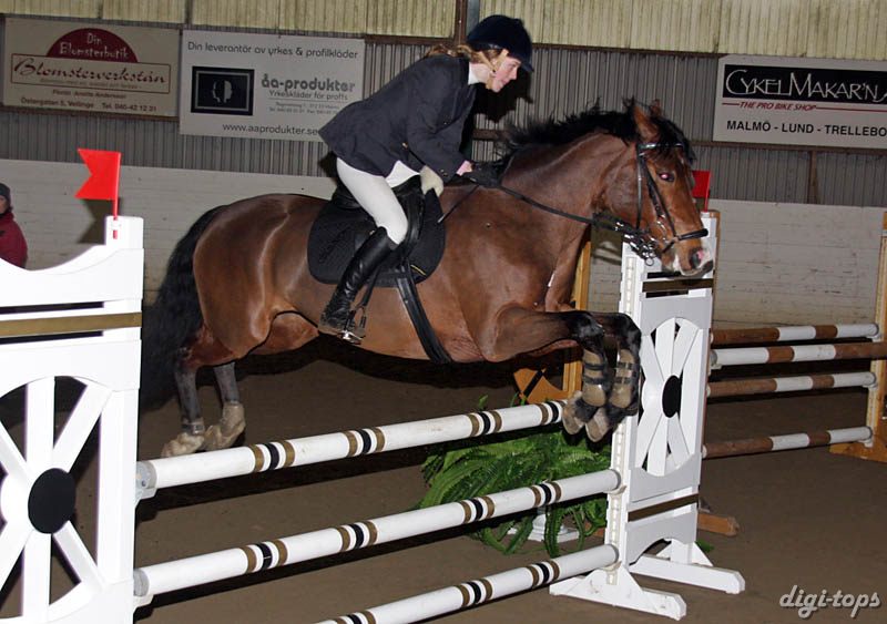 20090308_150214_0269 elina malmberg i wish