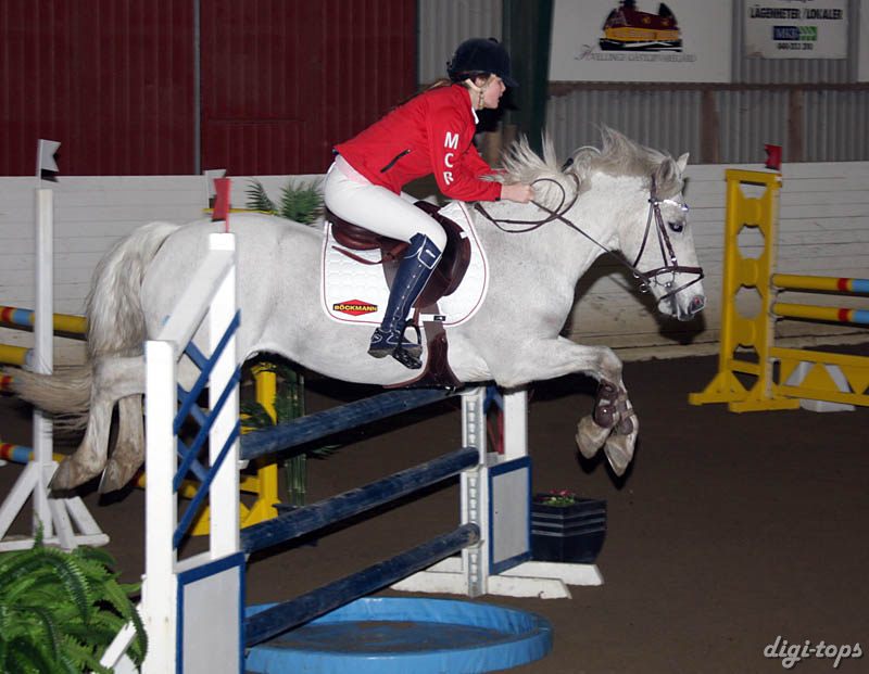 20090307_185552_0174 clara hornbek celtic ash