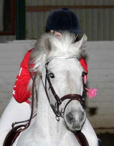 20090307_173358_0063 clara hornbek celtic ash