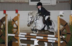 Melander_Karin_Munsboro_Toyboy_1b_20090403_161656_0028