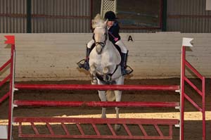 Hornbek_Clara_Celtic_Ash_5c_20090404_173914_0546