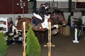 Kroghenadalsteindottir_Helena_Comet_4d_20090404_153108_0402