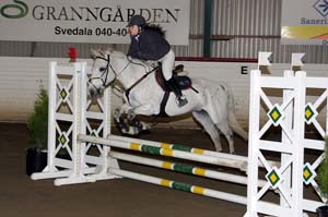 Berggren_Johanna_Lady_Grey_Kl1_Ld_Kd_20090407_170912_0117