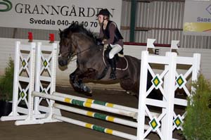 Engels_Kajsa_Balder_Kl1_Ld_Kd_20090407_165428_0088