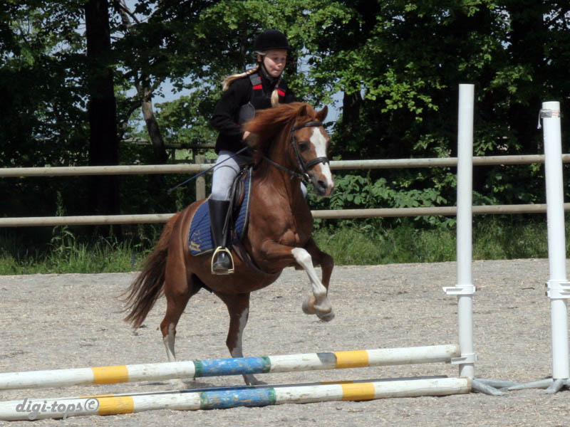 20090606_131236_0006_gullberg_felicia_diva