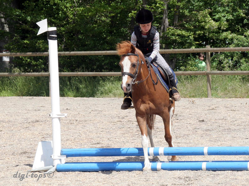 20090606_133722_0004_nilsson_sara_diva