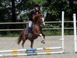 20090606_131236_0006_gullberg_felicia_diva