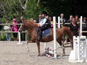 20090606_132544_0003_myrman_alice_diva